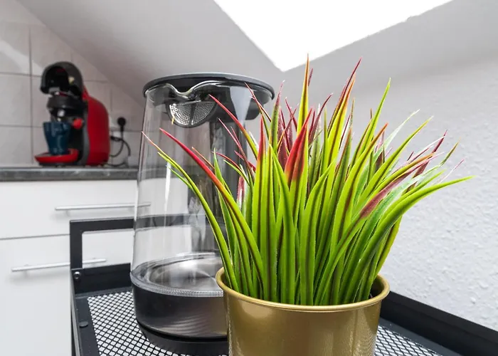 Blue Chili 19 Schöne Dachterasse Zentral Modern Bis 4 Pers * Magdeburg